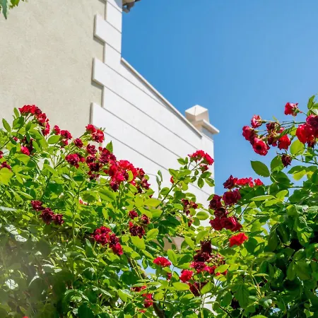 Andjelka-3 By Interhome * Trogir
