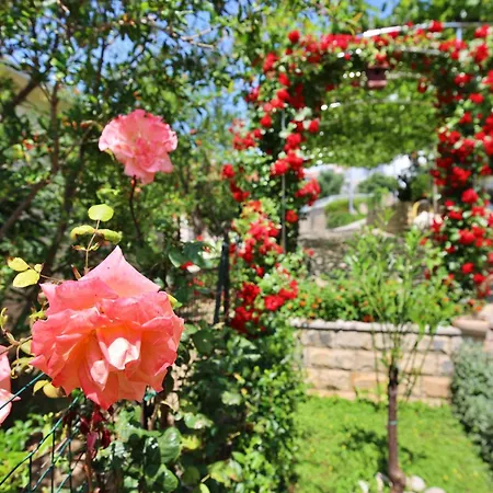 Andjelka-3 By Interhome