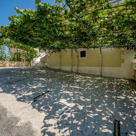 Andjelka-3 By Interhome Appartement *