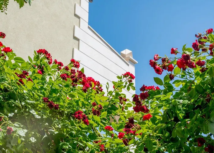 Andjelka-3 By Interhome * Trogir